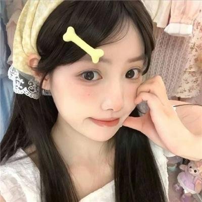 猫咪寻熊记